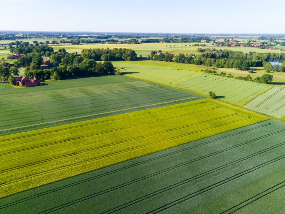 large plot of farmland